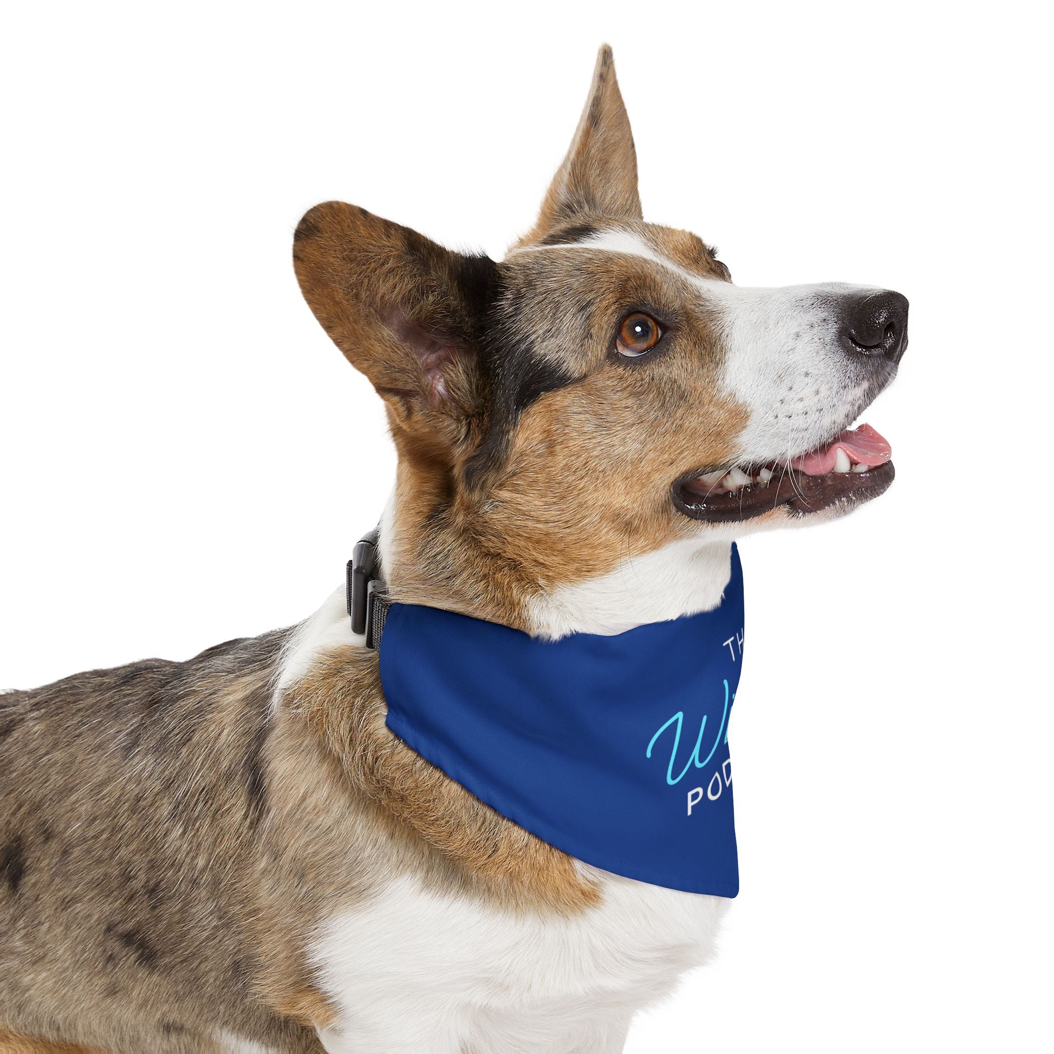 Winded Podcast Dog Bandana Collar