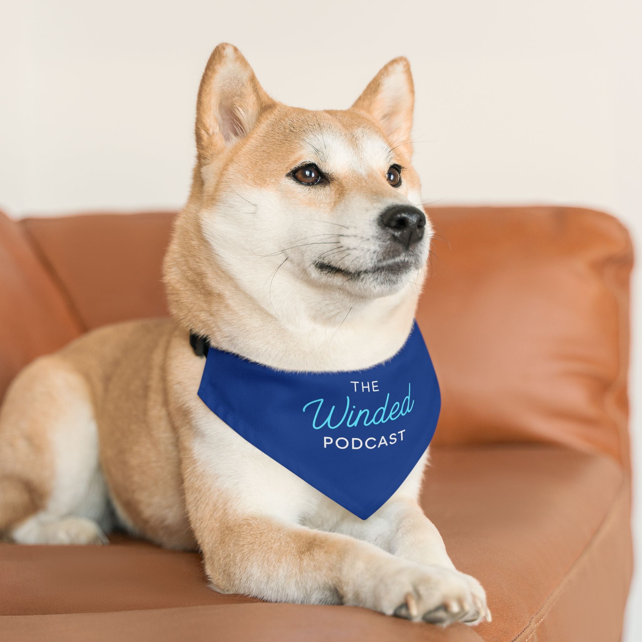 Winded Podcast Dog Bandana Collar