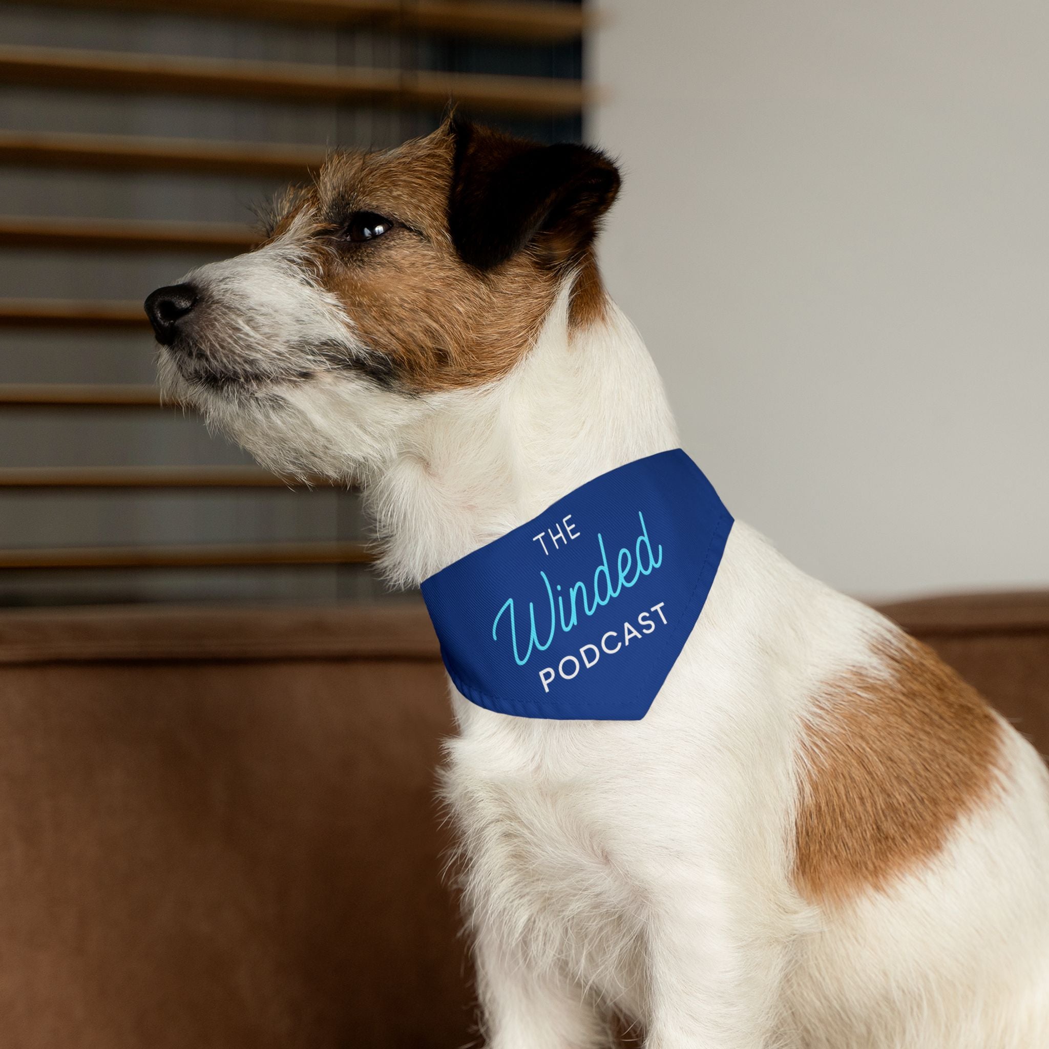 Winded Podcast Dog Bandana Collar